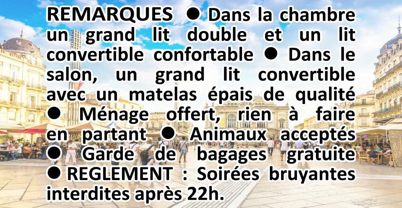 Appartement Comédie Musée-fabre Parking Offert Climatisation *